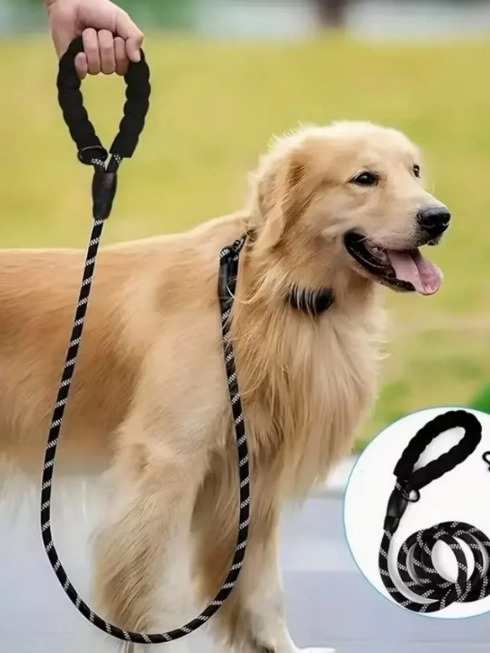 Tadeo Dash Green Reflective Rope Leash with Padded Loop Handle and Rotating Clip
